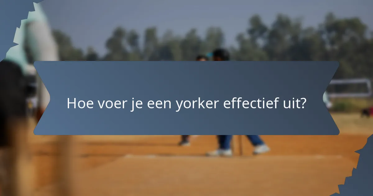 Hoe voer je een yorker effectief uit?